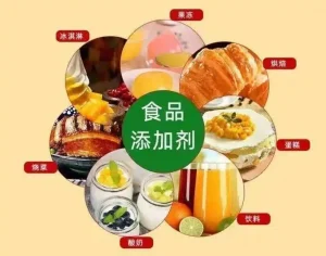 上海嘉定食品有限公司食品添加剂项目投资机会研究